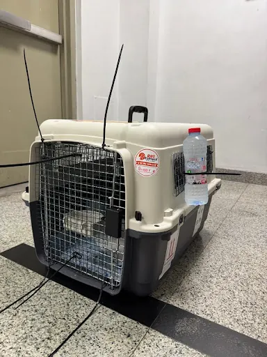 Bubby’s travel carrier in Sajid’s Google review