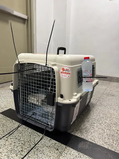 Bubby’s travel carrier in Sajid’s Google review