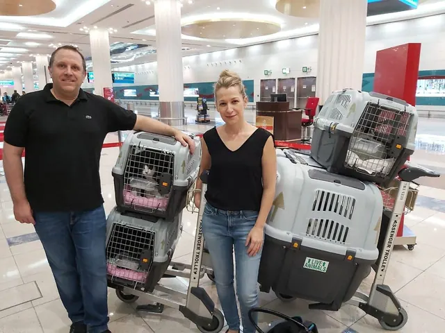 Pet Express customers at airport check-in with their pets’ travel carriers