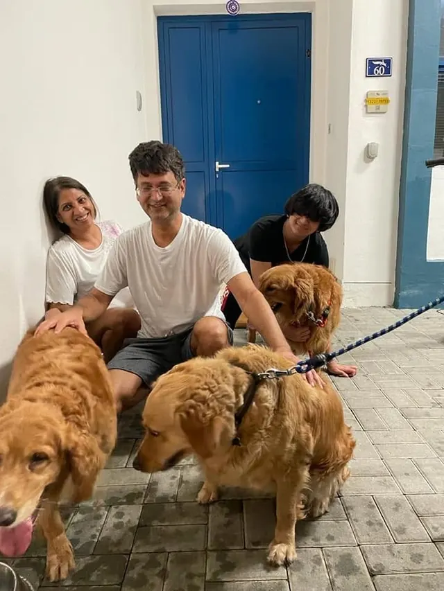 A family sitting outside their home with three golden dogs.