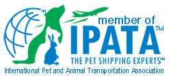 IPATA Logo